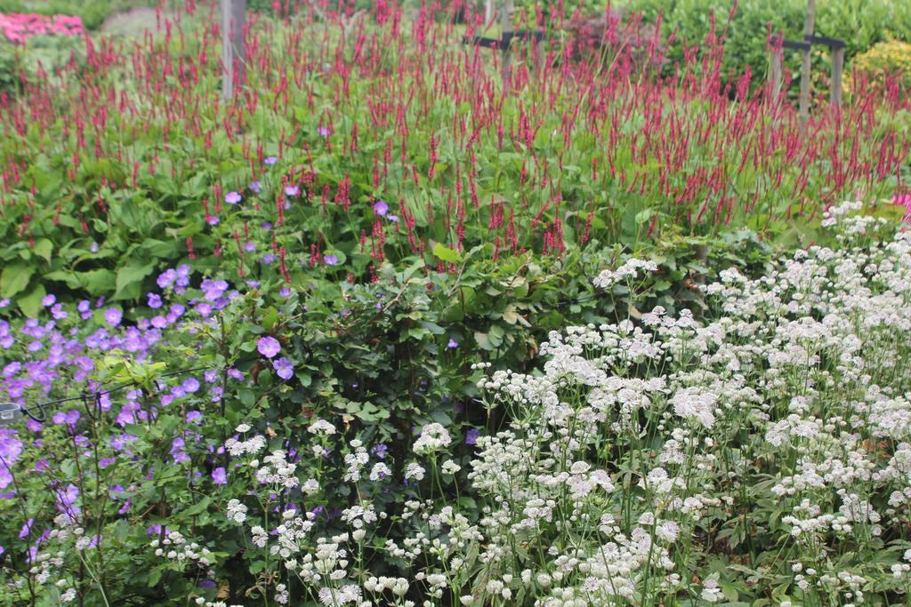 B&B Het Koetshuis Hazerswoude-Dorp Pokój zdjęcie